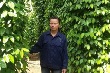 Công nhân cao su Quảng Trị nâng cao thu nhập từ trồng tiêu